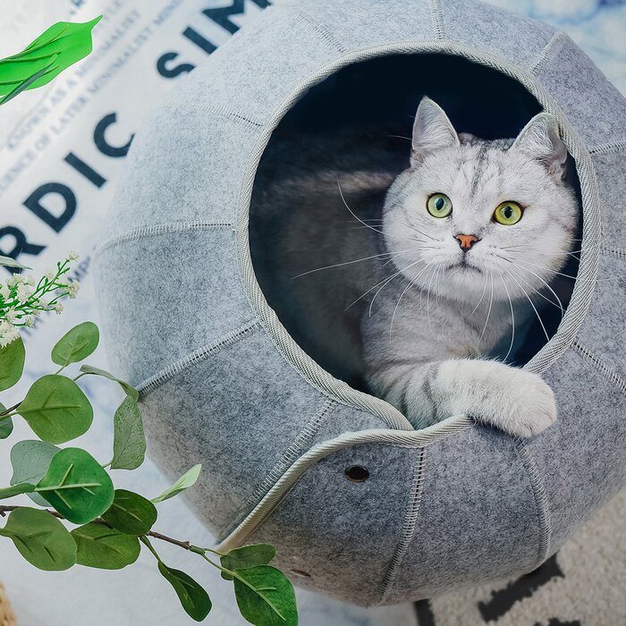 Cat Kennel Cave Tunnel 2